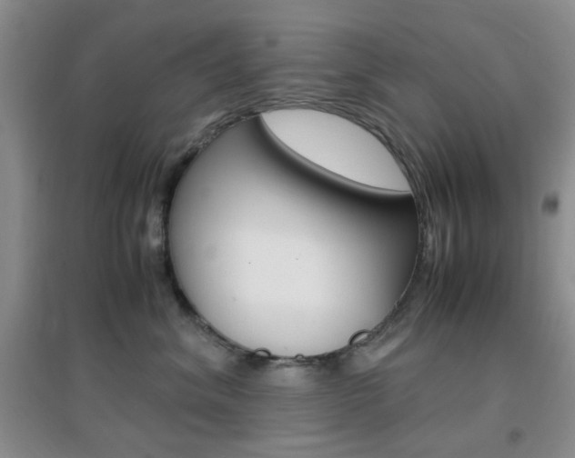 X0000096940620200802080900