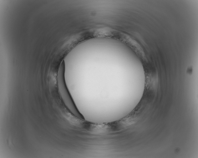 X0000096940621200802080900