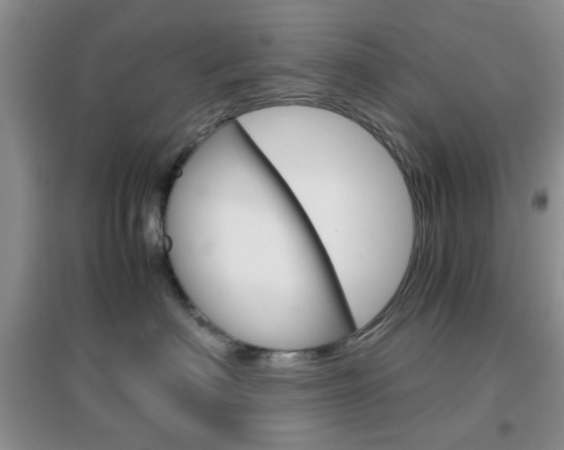 X0000096940622200802080900