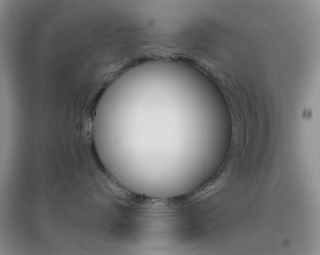 X0000096940624200802080900