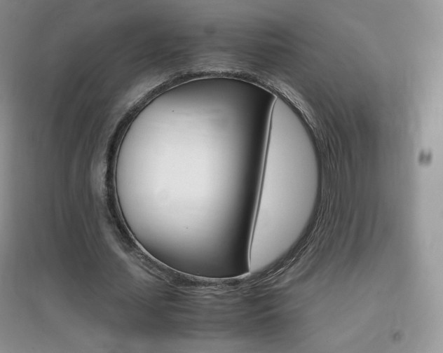 X0000096940627200802080859