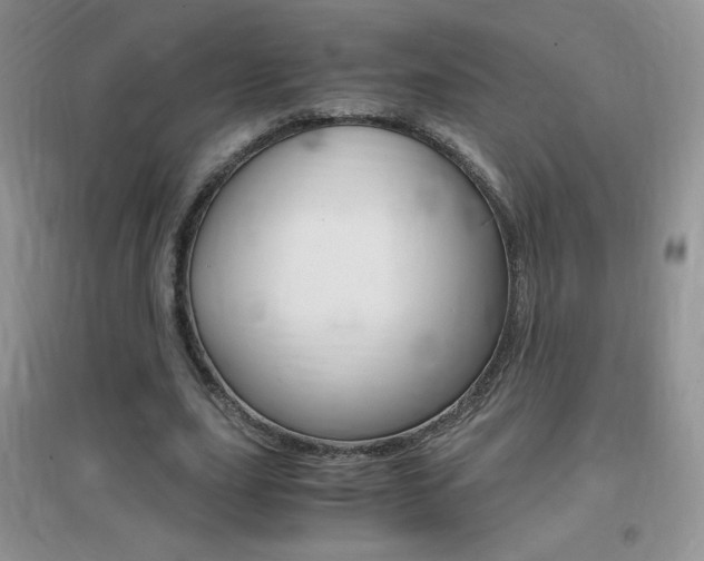 X0000096940631200802080859
