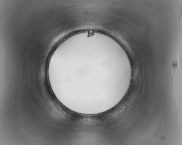 X0000096940632200802080859
