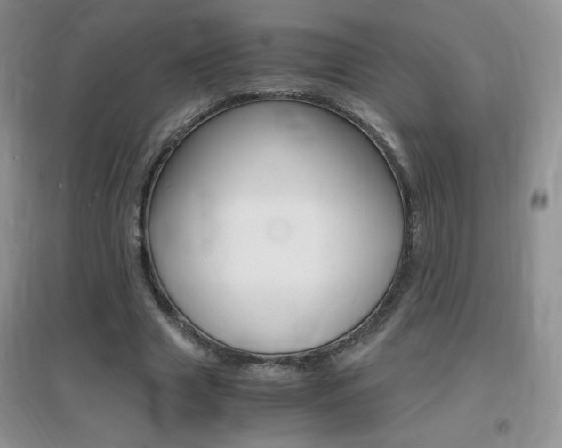 X0000096940633200802080859