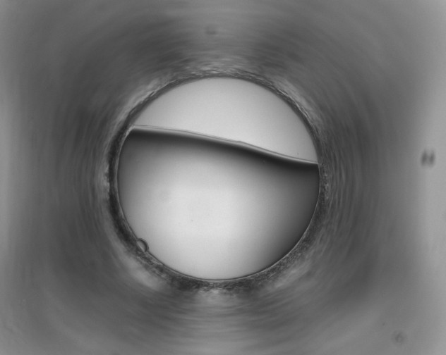 X0000096940634200802080859