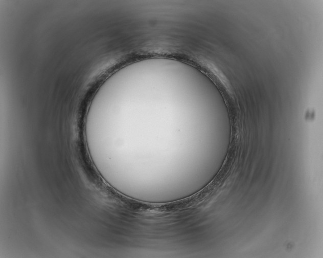 X0000096940635200802080859