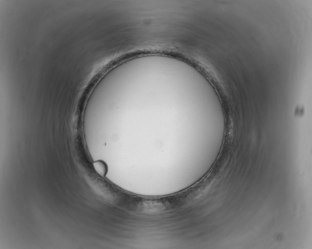 X0000096940636200802080859