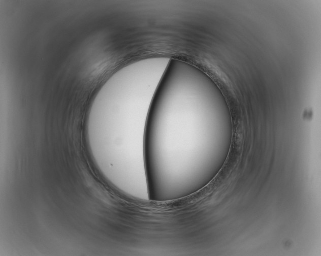 X0000096940639200802080859