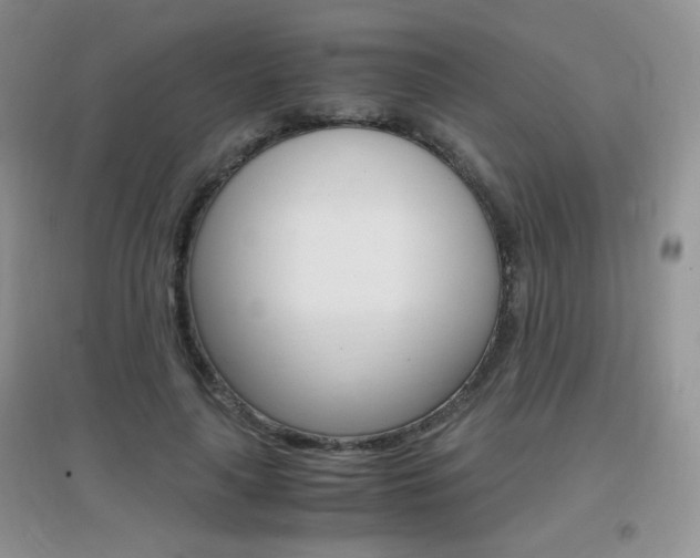 X0000096940643200802080859