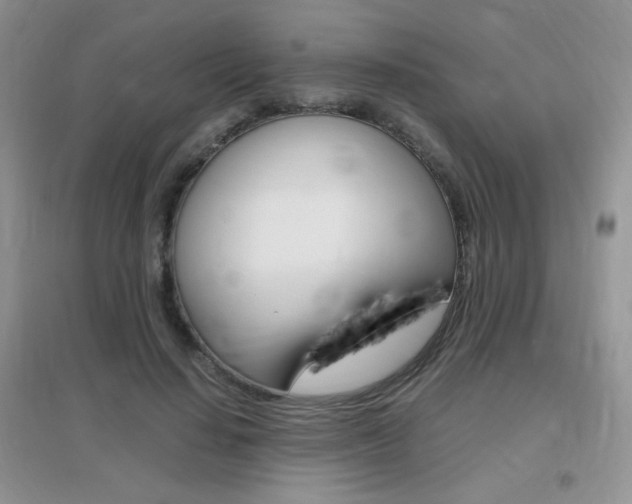 X0000096940644200802080859