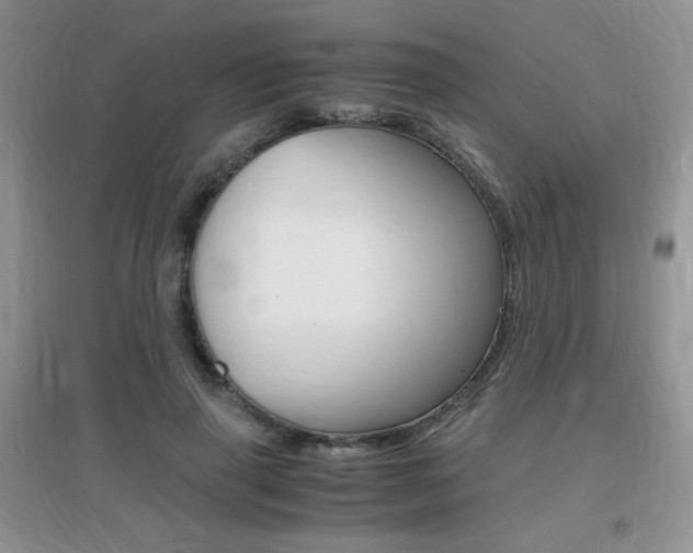 X0000096940645200802080859