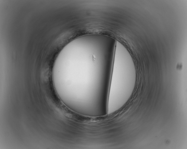 X0000096940647200802080859