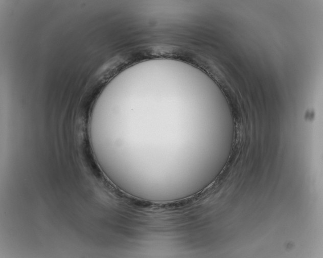 X0000096940648200802080859