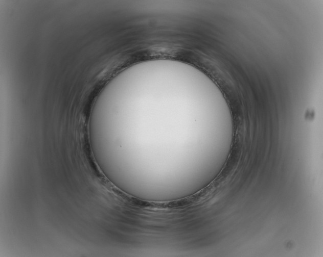 X0000096940649200802080859