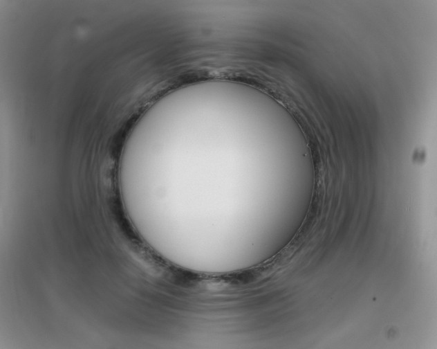X0000096940650200802080859