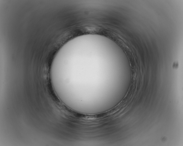 X0000096940651200802080859