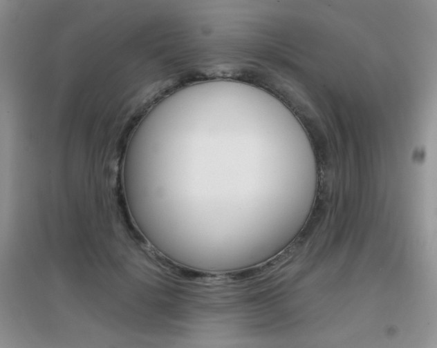 X0000096940652200802080859