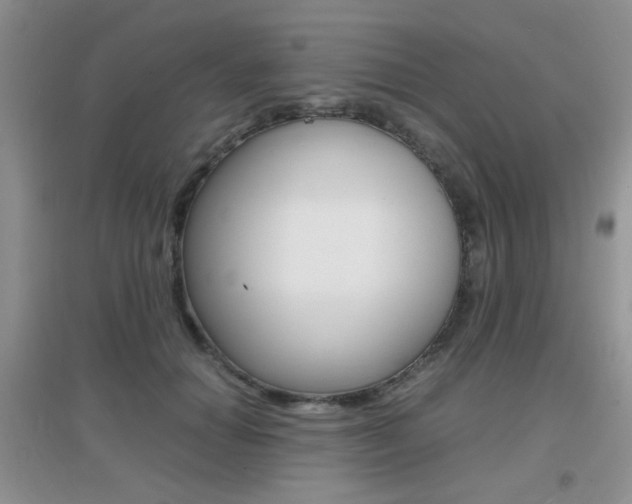 X0000096940654200802080859