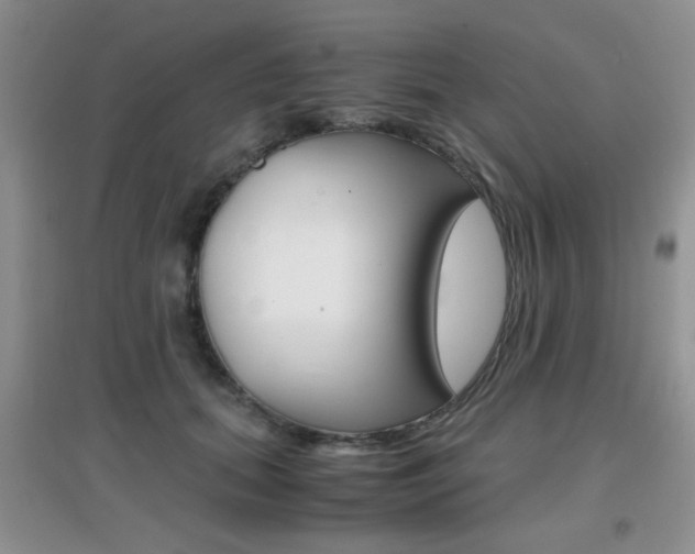 X0000096940655200802080859
