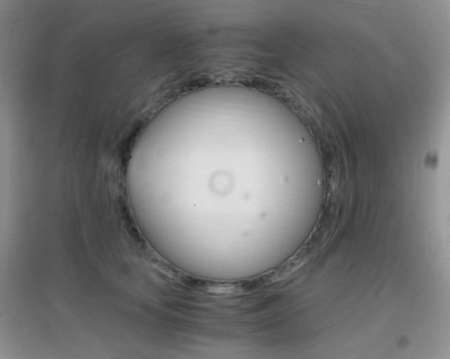 X0000096940659200802080900