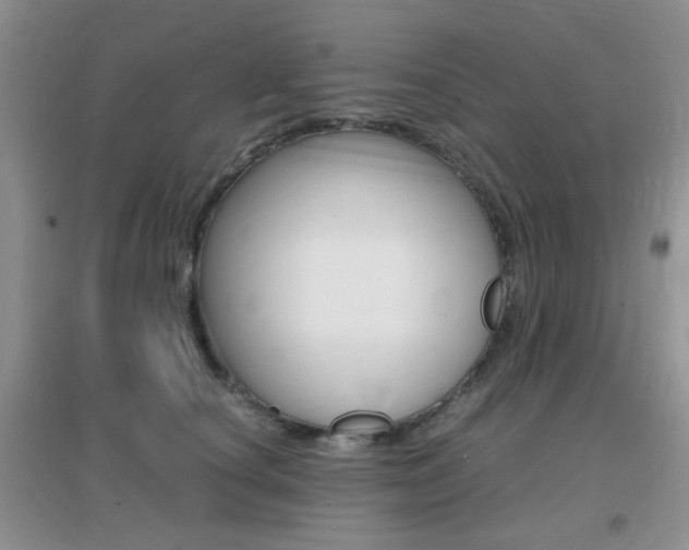 X0000096940660200802080900