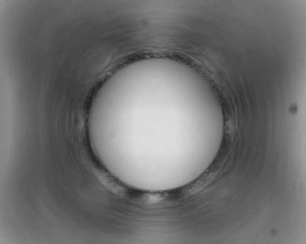 X0000096940662200802080900