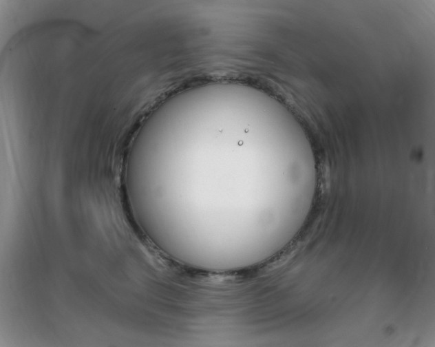 X0000096940664200802080900