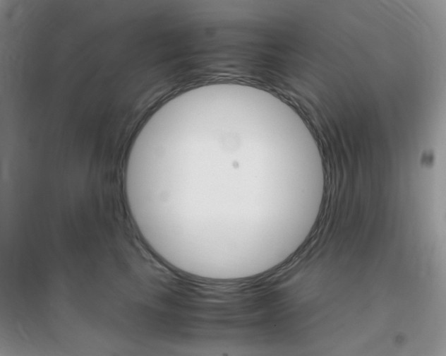 X0000096940665200802080900