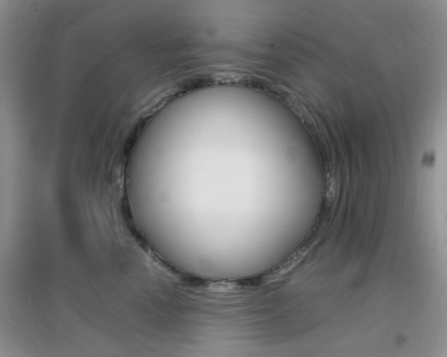 X0000096940666200802080900