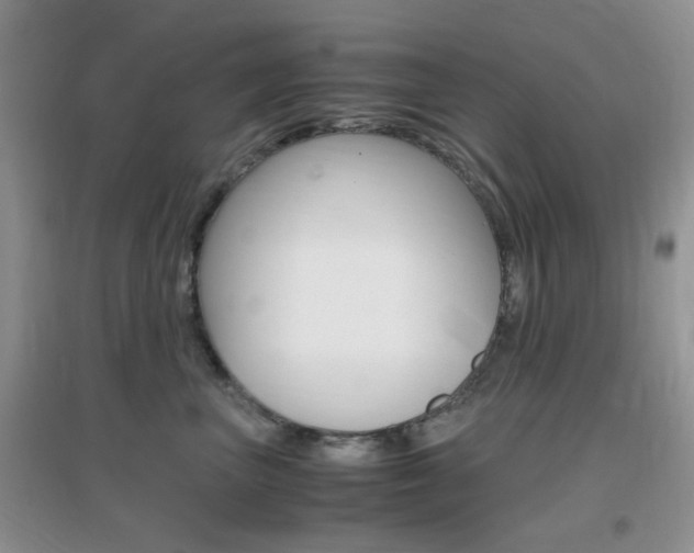 X0000096940667200802080900