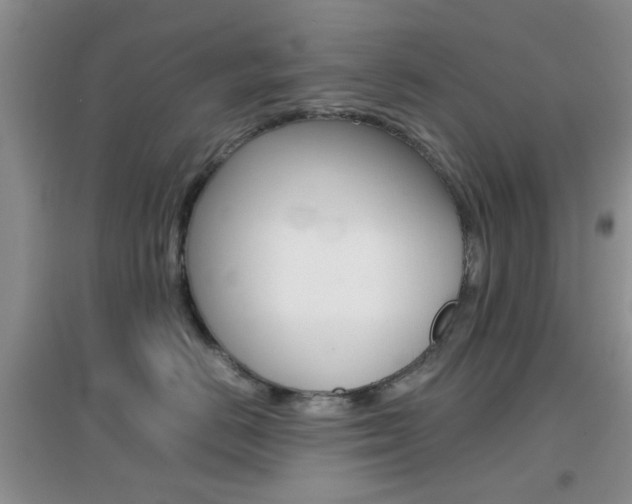 X0000096940670200802080900