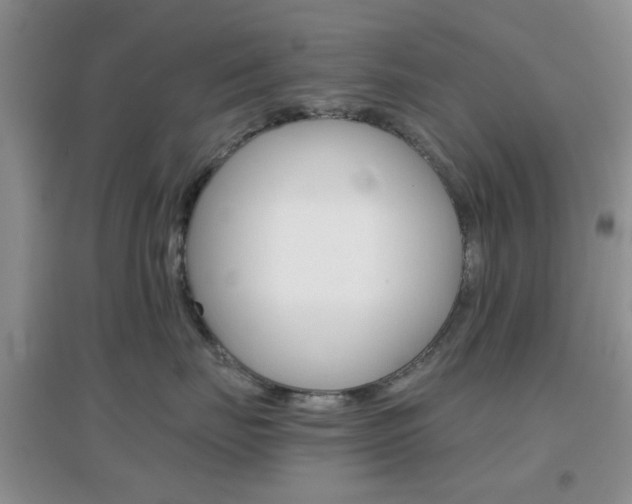X0000096940671200802080900
