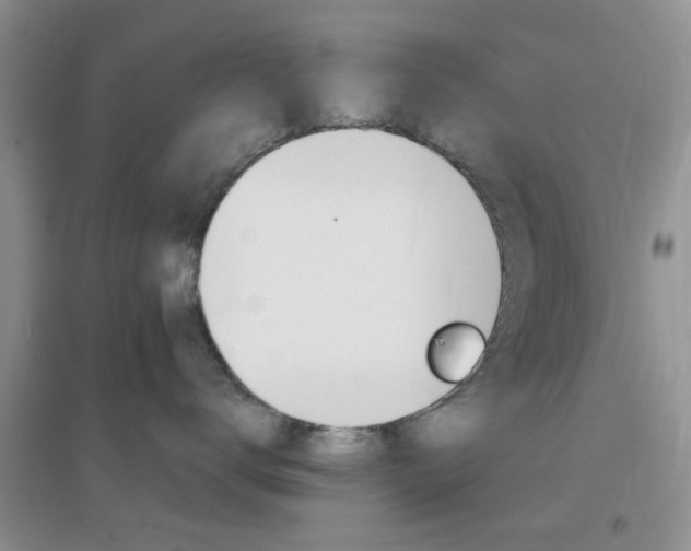 X0000096940672200802080900