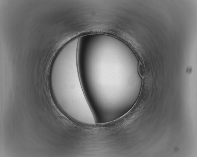 X0000096940673200802080859