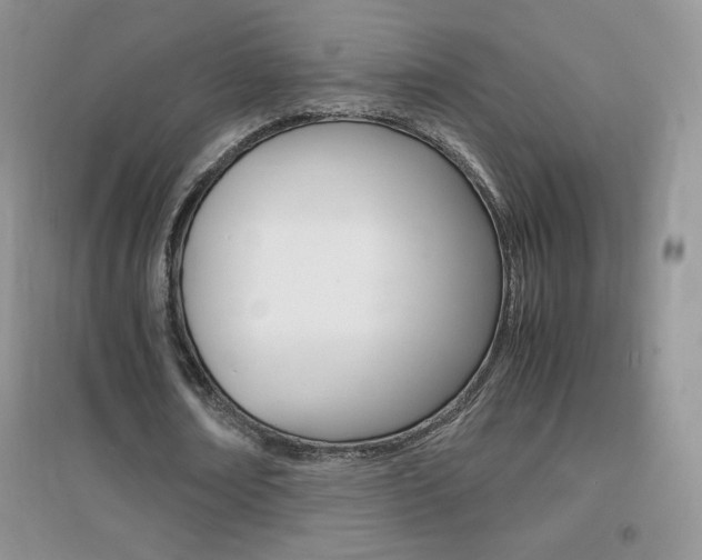 X0000096940674200802080859