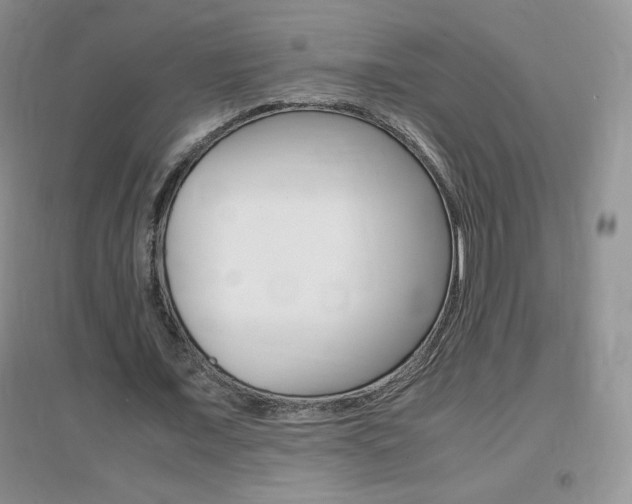 X0000096940675200802080859