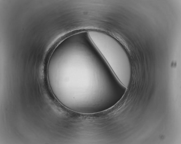 X0000096940676200802080859
