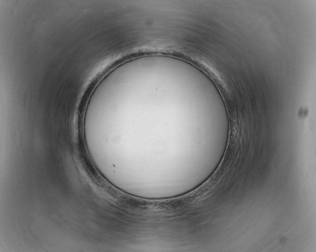 X0000096940678200802080859