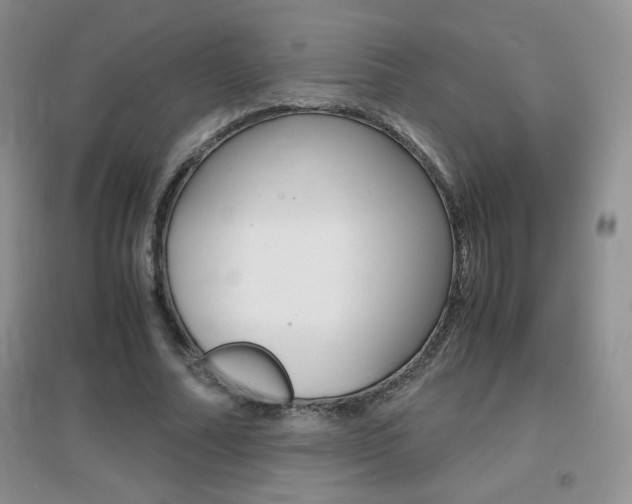 X0000096940682200802080859