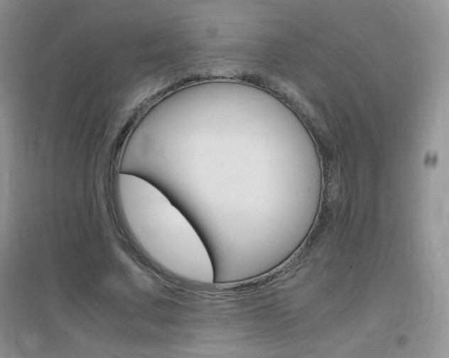 X0000096940683200802080859