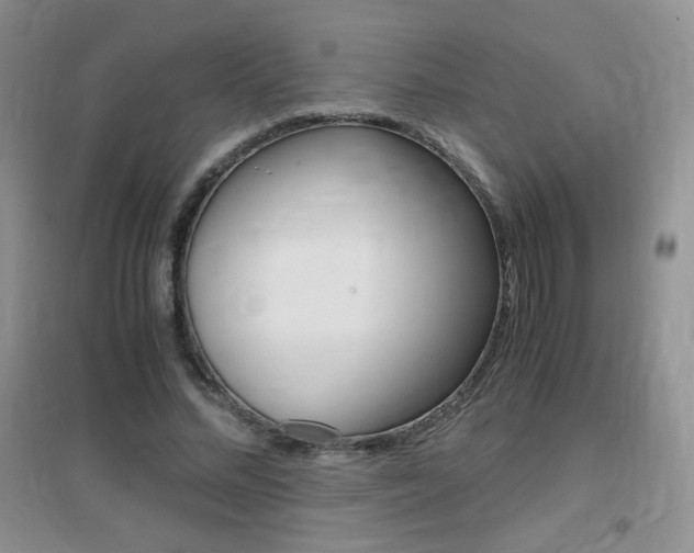 X0000096940684200802080859