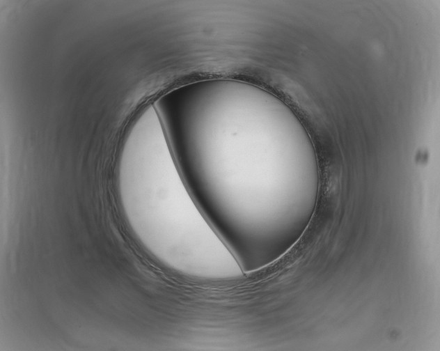 X0000096940685200802080859