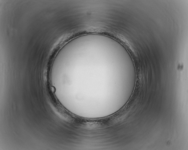 X0000096940686200802080859