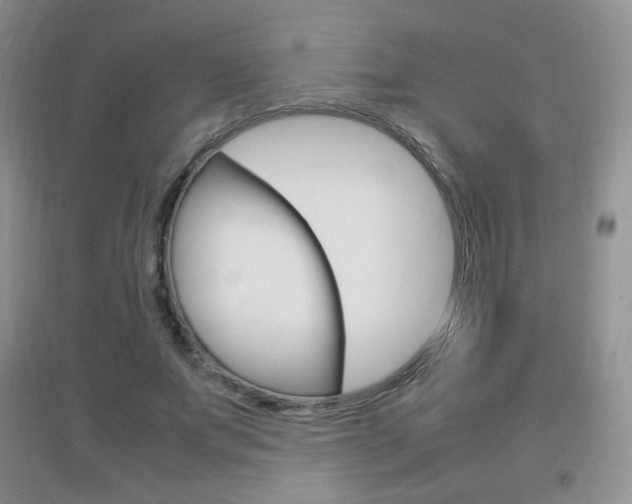 X0000096940687200802080859