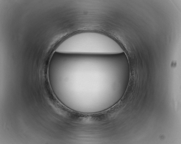 X0000096940688200802080859