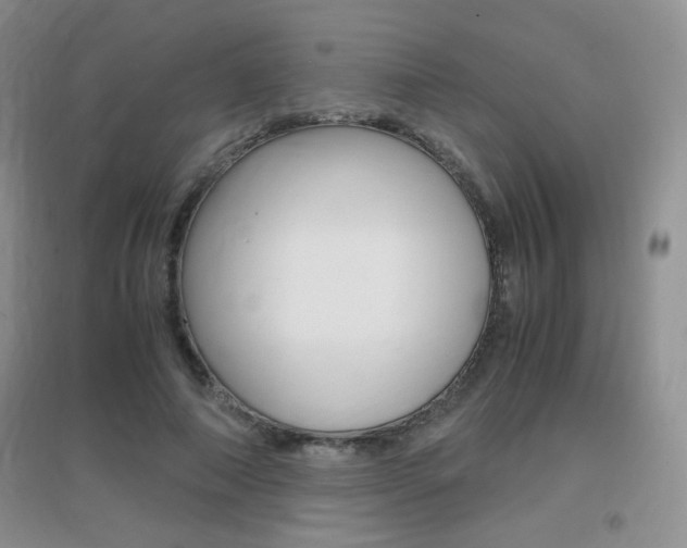 X0000096940690200802080859