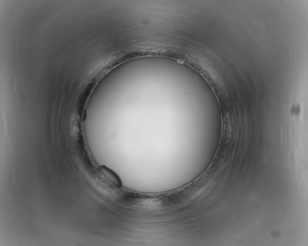 X0000096940692200802080859