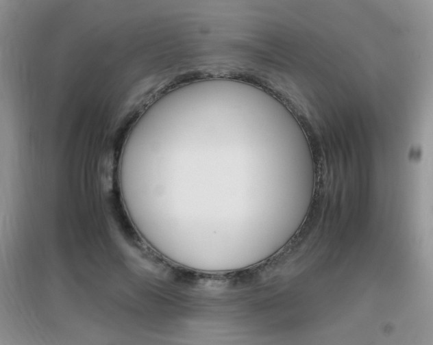 X0000096940694200802080859