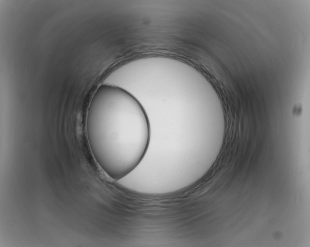 X0000096940700200802080859