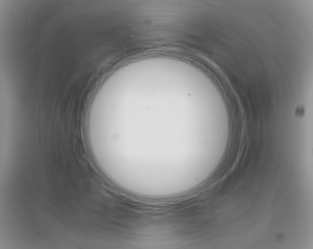 X0000096940701200802080859